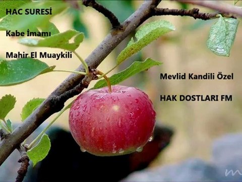 Hak Dostları