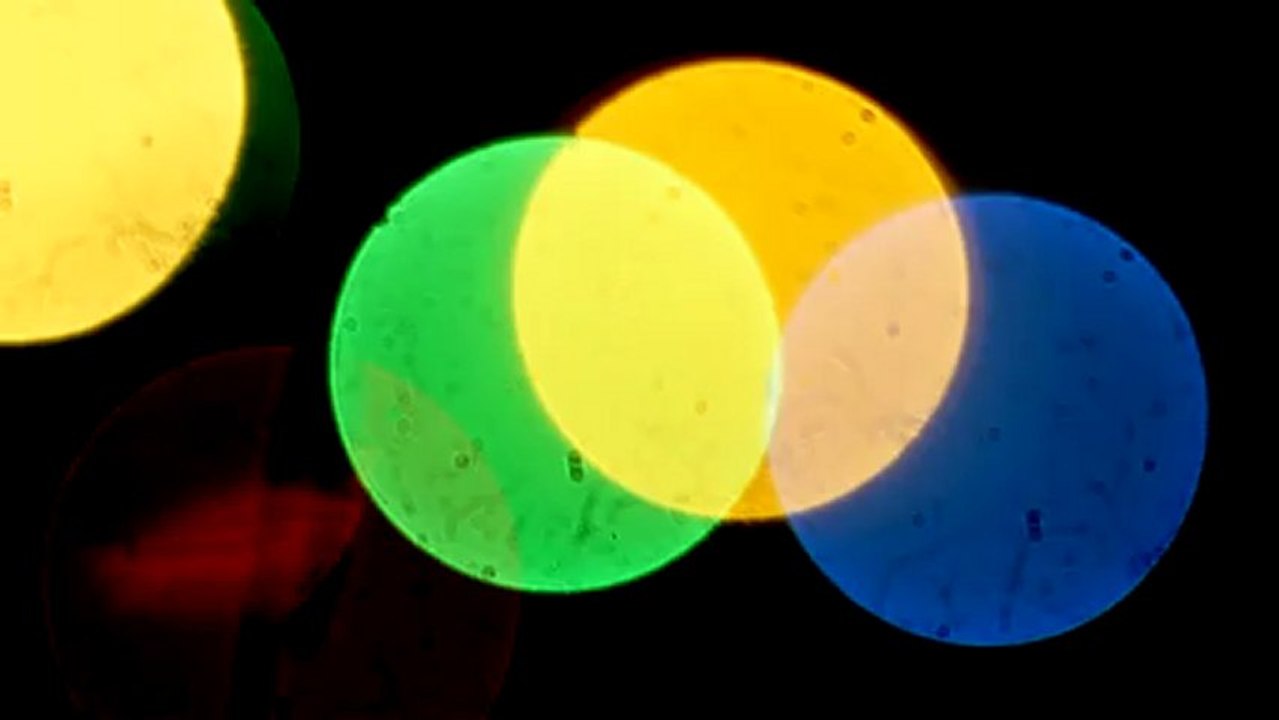 Colors - Free HD stock footage