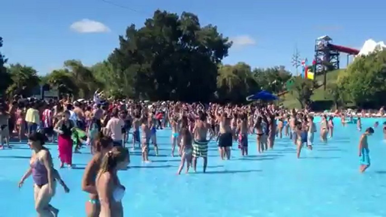 Pachorra hace bailar a todos en la pileta