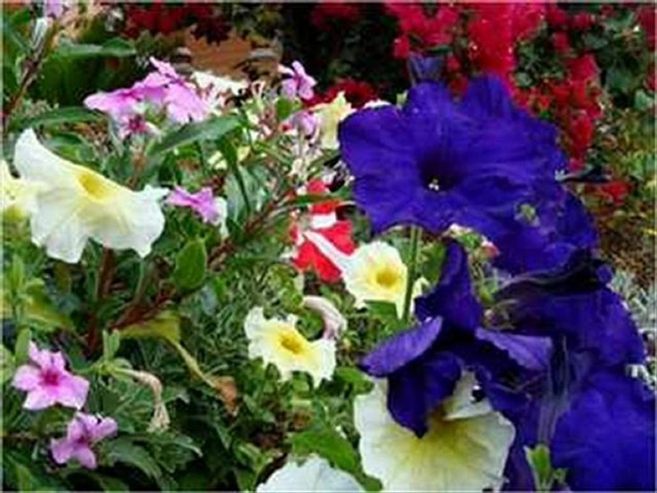 CLIP VIDEO HAMLAGHKAM DE KHALED CHABI