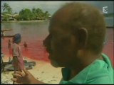 Dolphin Massacre in Solomon Islands.
