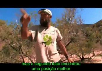 BBC - Leões do Deserto (Legendado)