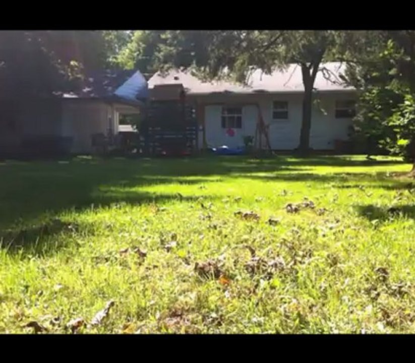 Tippy Speed Races to the Pool