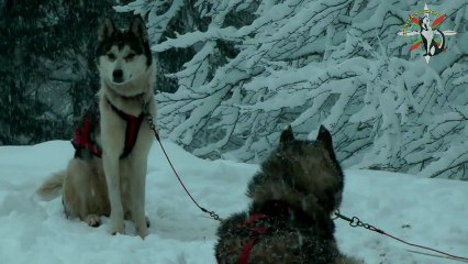 Week end avec Otxoa's team et nos chiens de traîneau