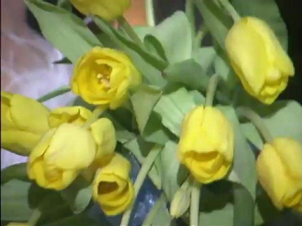 My Super Sweet 18th Birthday 2007 (PART 3)