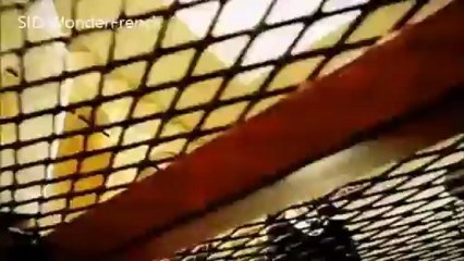 เพลง เปิด เมไจ ละ