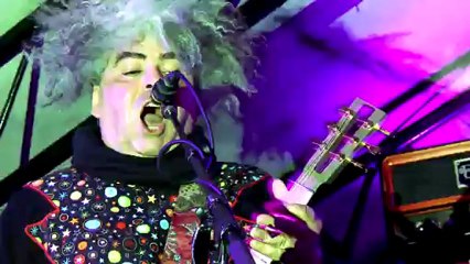 Melvins Lite - National Hamster (live)