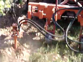 Bineuse Braun en action avec enherbement et irrigation goutte à goutte.Costières de nimes