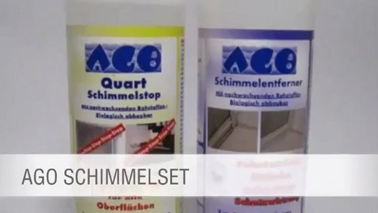 Schimmelentfernung mit Profiprodukten leicht gemacht!