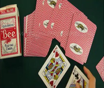 MAGIC-POKER-CARDS Bee(with picture-Red)1 Magic-trick