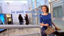 Le Petit monde de Sophie - La CFTC et moi  (Saison 2 - Episode 1)