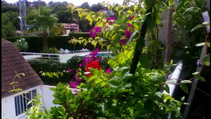 A TU VERA -  PARA TI LOLA