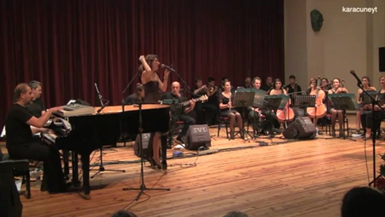 Evrim Özkaynak - Stayin Alive