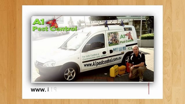 Lower North Shore Pest Control | Call 0417 251 911