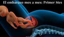 Embarazo mes a mes