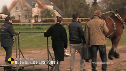 EM48 Cheval VS voiture : qui est le plus fort ?