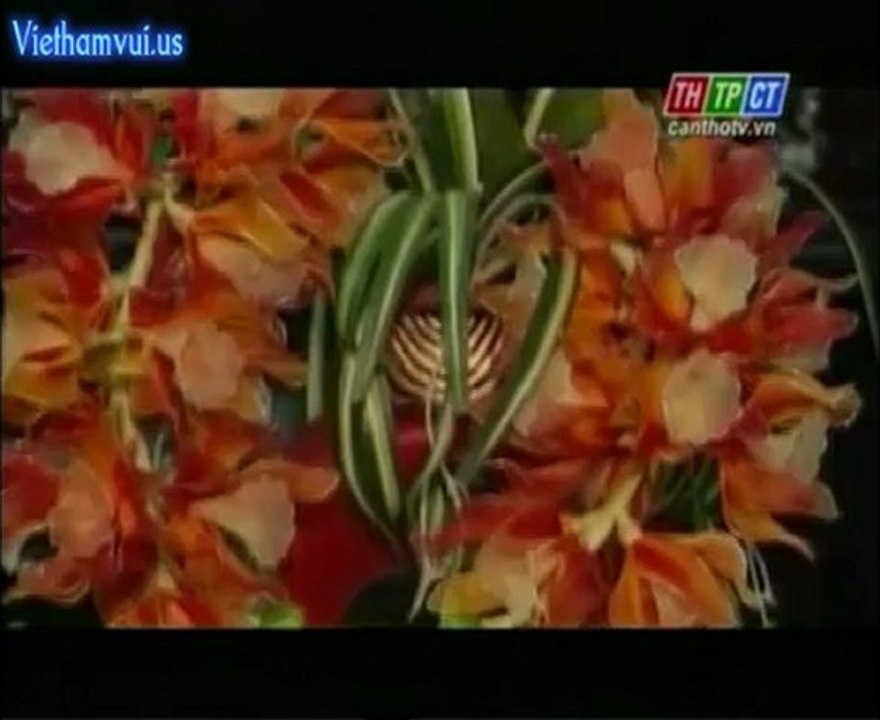 Viethamvui.us CTPho 2 _3_4