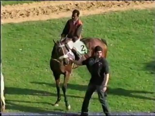 Karachi Race Club 9 December 2012 Race 5