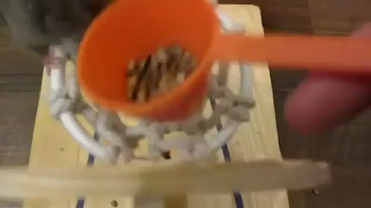 cute mouse playing basketball www.asyadizi.com