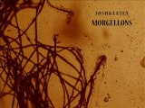Josh&Latex - MORGELLONS
