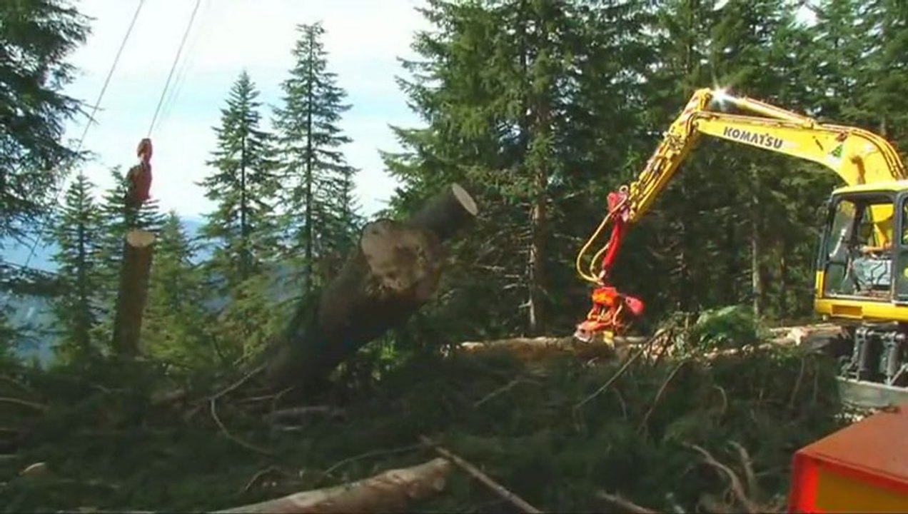 Débardage par câble. Un mode d'exploitation durable