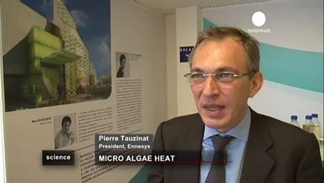 L'énergie des micro-algues