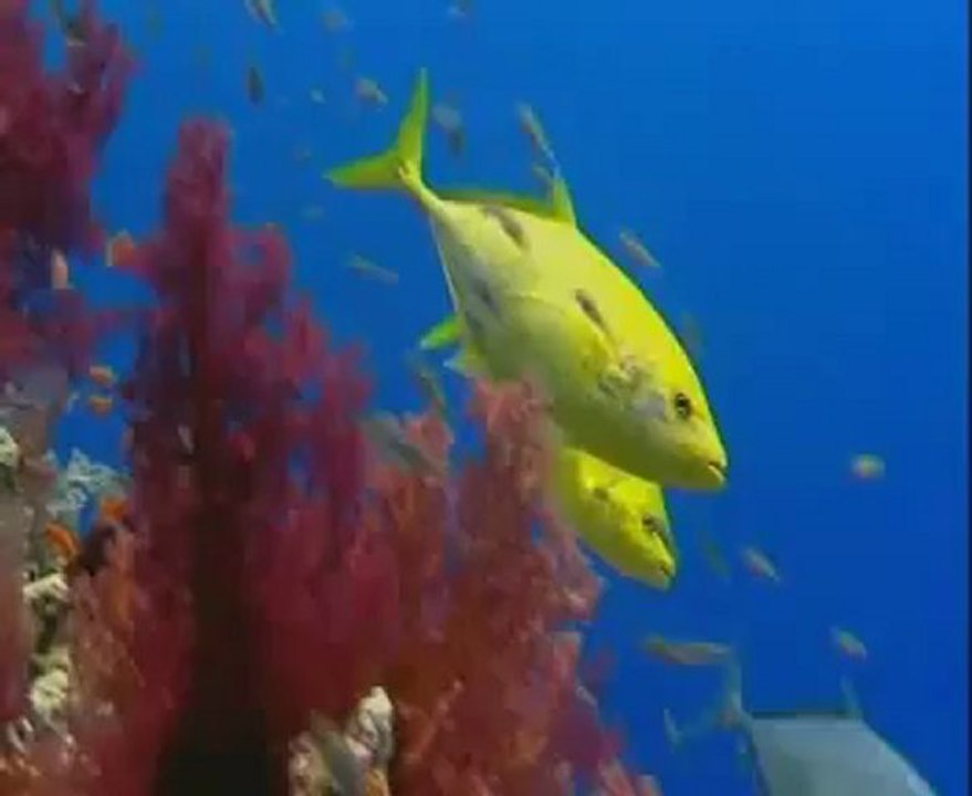 SeSLiGiRGiR.CoM KaDiR GeCeNiZ MuBeReK oLSun Guzel Ilahiler 2013_2012 [HD] 1 - YouTubeGuzel Ilahiler 2011_2012 [HD] 1 - YouTubeilahiler -3 'sevdim seni mabuduma' - YouTube