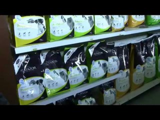 Visite d'entreprises à Angers