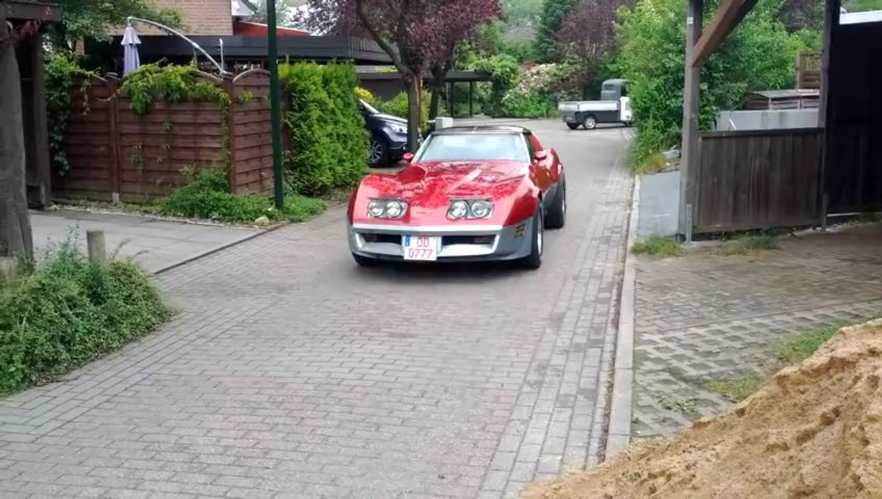 31 Jahre und immer noch Power Pur.