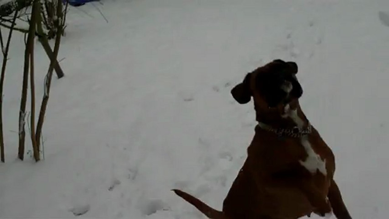 Fixe joue avec des boules de neiges