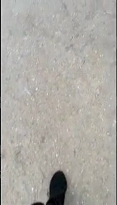 Confession d'une jeune fille bien rangée