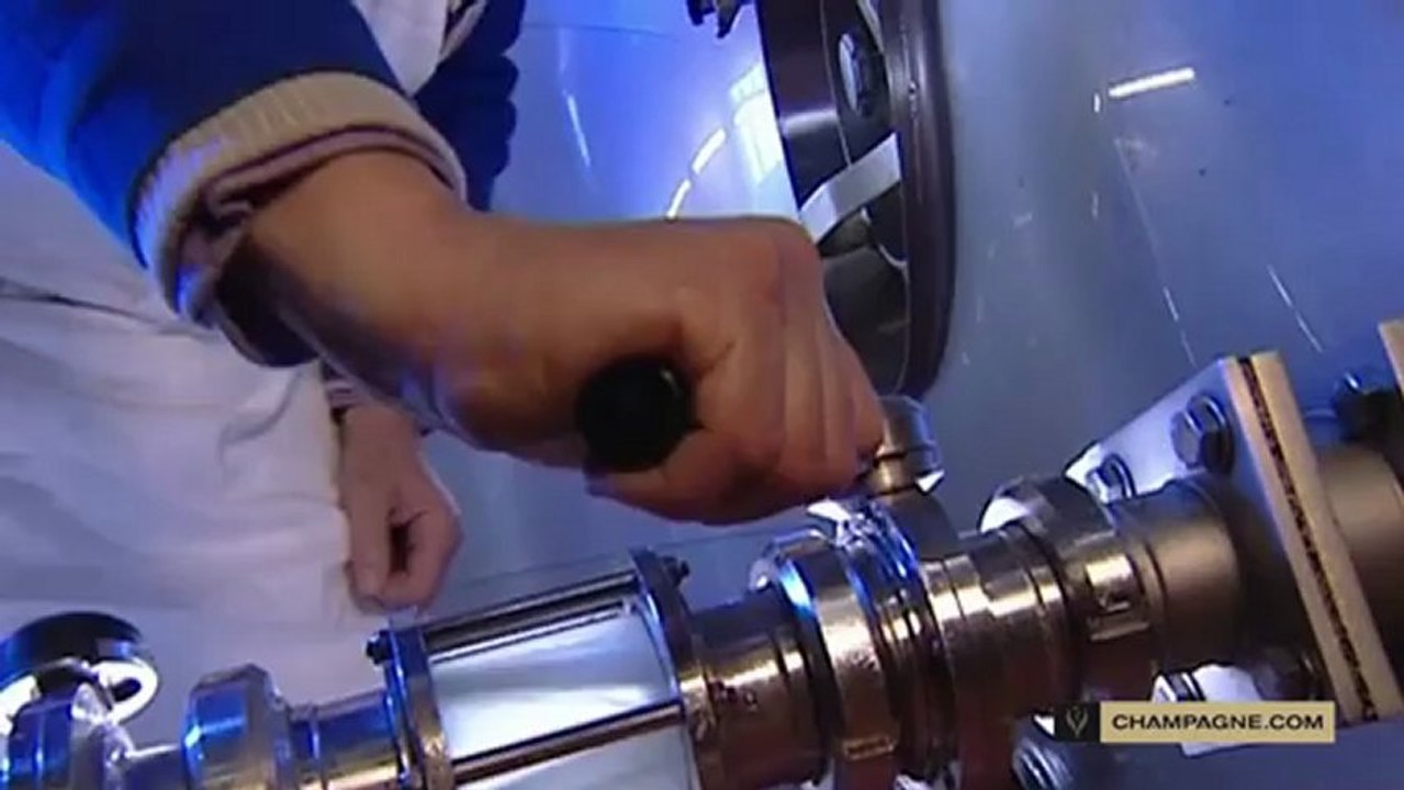 Winemaking: fermentation