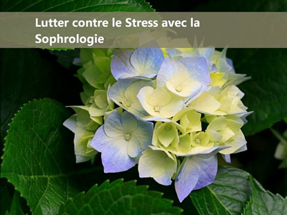 lutter contre le Stress