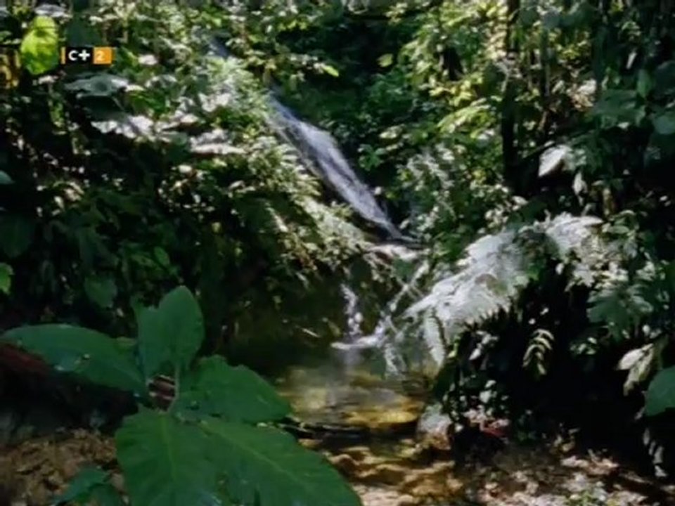 La vida a sangre fría (02) Invasores de la tierra
