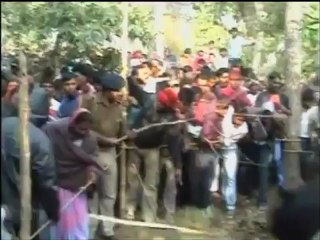 Vivez le sauvetage d'un éléphanteau tombé dans un puits en Inde