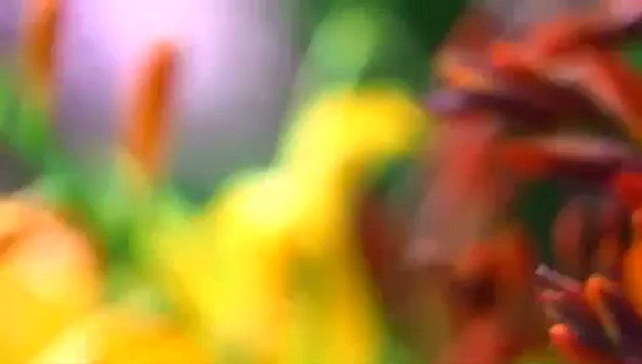 Charlotte Casiraghi for Gucci