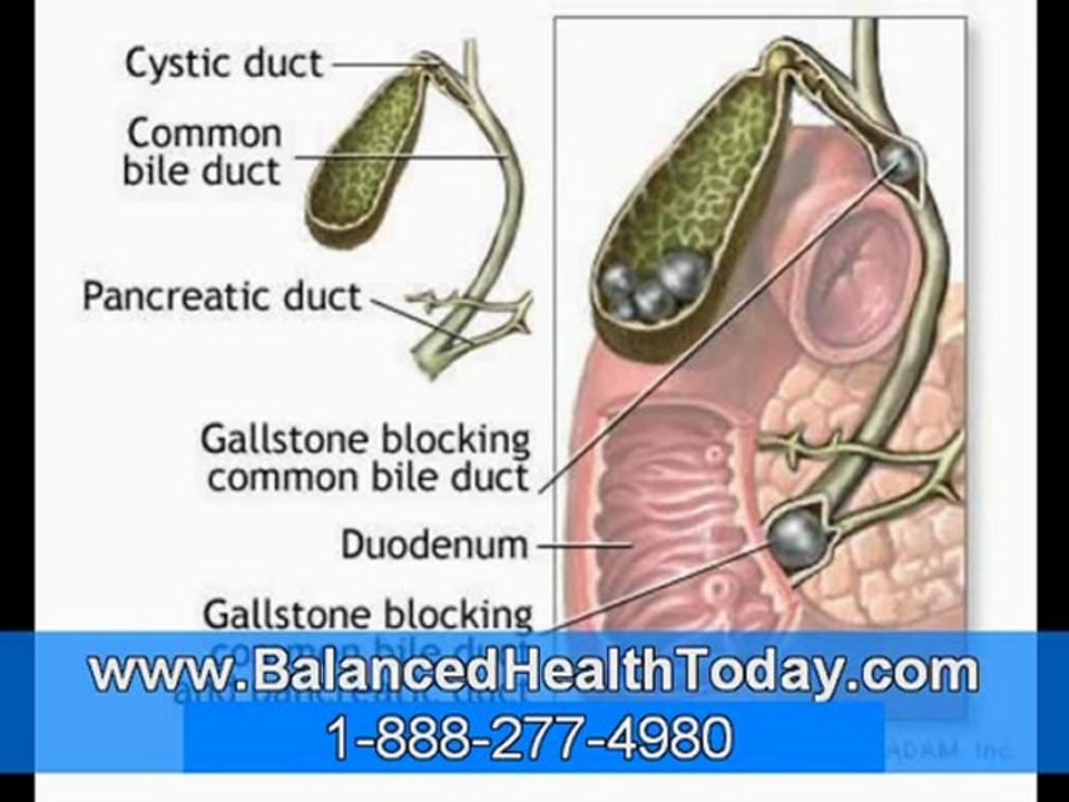 What Your Liver Can Teach You About Burning Fat (Glytamins)