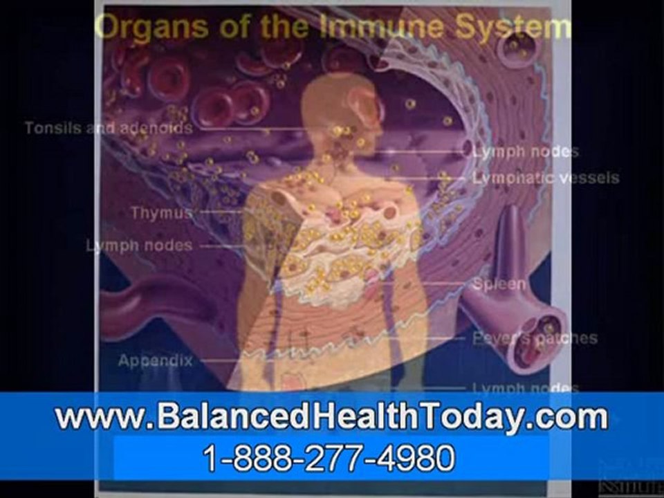 Kidney Gallbladder Cleanse (Glytamins)