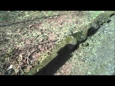 Aversa (CE) - Carenze al Parco Grassia, fatti e non parole (22.01.13)