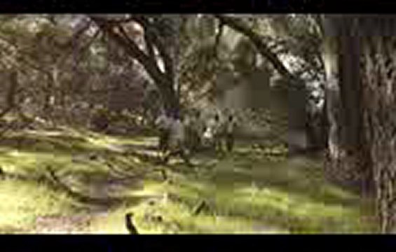 정통바카라◆QQD888.COM ♠ ♣ 헬로카지노 ♥우리카지노싸이트◆정통바카라