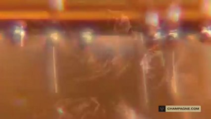 La dégustation : arômes et goût