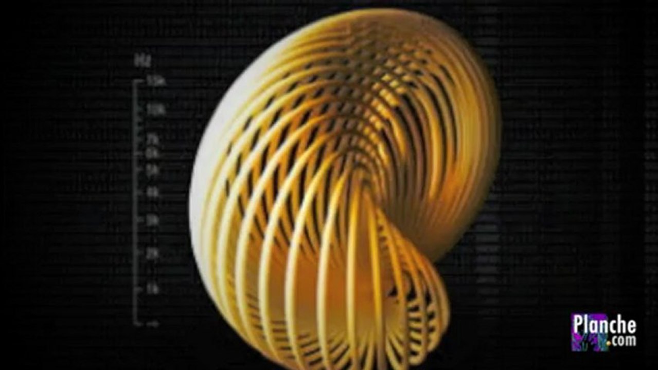 Steve Rothery, les cordes sensibles de Marillion nous parle de "Gaza"...