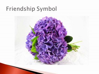 Meaning or Symbolism of Flowers