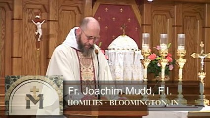 Jan 24 - Homily: Evangelist and Bishop