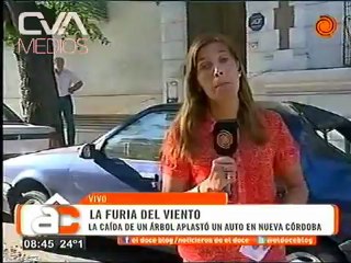 Canal12-ArribaCordoba-Arbolcaido-20130124