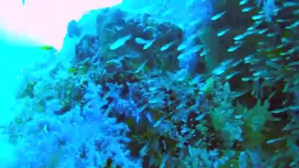 Jour 181 - Thaïlande