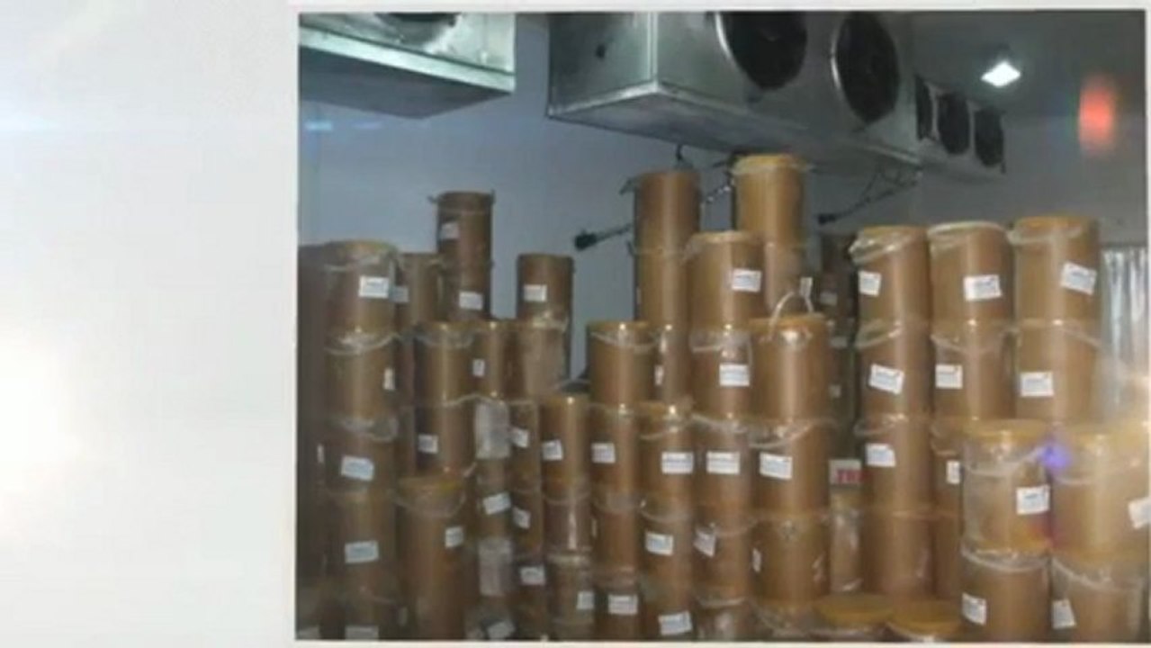 helados al por mayor. JC distribuidor mayorista de helados y productos congelados