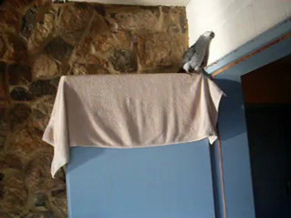 allezzzzzzzzz dégageeeeeeeee 001