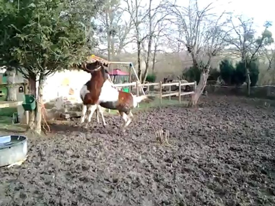 video-2013-01-21-12-42-13