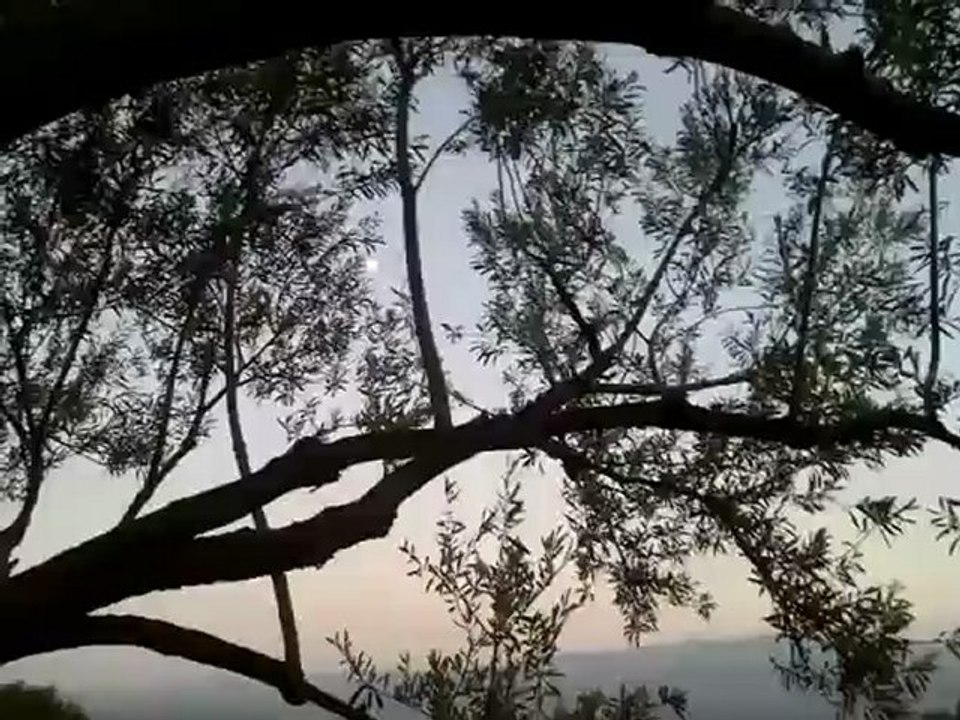 clip Kabylie